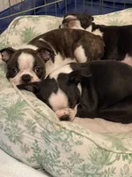 processed/ebf15a76-59cd-438d-a215-e3f1e4b8101f/facility/c595b6f1-d5ec-4c4e-960e-ba62a589fdea