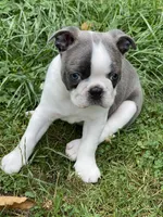 processed/ebf15a76-59cd-438d-a215-e3f1e4b8101f/facility/dd45869b-e8a6-4802-8f40-234e180b73a7