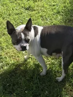 processed/ebf15a76-59cd-438d-a215-e3f1e4b8101f/facility/f6ea493e-6e10-4727-a4f0-142b7d1a1ce0