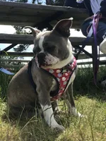 processed/ebf15a76-59cd-438d-a215-e3f1e4b8101f/facility/fa87f73e-0842-40c2-b389-951511f40ca8