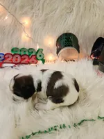 processed/ebf33cc4-de59-4a78-b02f-9f0558962b69/listing/123a2d6d-1b6a-448a-95bf-0fac2ae0e0d1/3596bd6c-c976-4eaf-b4ff-06d131d57b6c