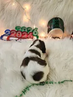 processed/ebf33cc4-de59-4a78-b02f-9f0558962b69/listing/123a2d6d-1b6a-448a-95bf-0fac2ae0e0d1/6b1a6609-61df-49bd-a2a0-a36943fb00fc