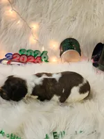 processed/ebf33cc4-de59-4a78-b02f-9f0558962b69/listing/2d56e34c-4f00-4241-9b6d-8d9ee14a0774/cd7ab67b-3a3e-4680-961b-3d9cc252329f