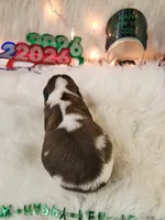 processed/ebf33cc4-de59-4a78-b02f-9f0558962b69/listing/2d56e34c-4f00-4241-9b6d-8d9ee14a0774/e379cef4-6d1e-4fde-93fe-d69633c24dd2