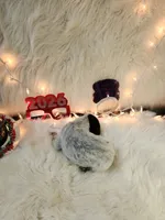 processed/ebf33cc4-de59-4a78-b02f-9f0558962b69/listing/2e372ccb-ce9c-45d6-9288-0392d52e1eeb/b1c6622e-3520-48db-b3a5-fc1ee52ca8a2