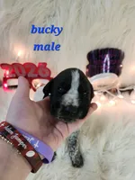 processed/ebf33cc4-de59-4a78-b02f-9f0558962b69/listing/2e372ccb-ce9c-45d6-9288-0392d52e1eeb/b6d28cc0-dc18-4e8e-ba3f-2a31a68037e7