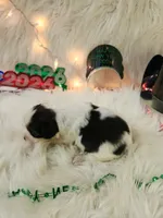 processed/ebf33cc4-de59-4a78-b02f-9f0558962b69/listing/3baa07c9-ae53-4c40-acdf-44cd7663269f/2353e375-b0ad-4e48-b3dd-829612cd79c1