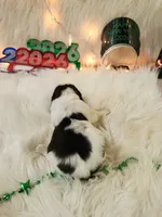 processed/ebf33cc4-de59-4a78-b02f-9f0558962b69/listing/3baa07c9-ae53-4c40-acdf-44cd7663269f/8a94a4a5-67ad-48e9-926b-f314bb9df3db