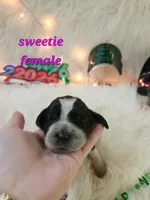 processed/ebf33cc4-de59-4a78-b02f-9f0558962b69/listing/4ab6861d-de00-4950-b35e-224775118843/146d0731-1a5c-4cc1-b7d8-4246c40ab854