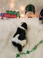 processed/ebf33cc4-de59-4a78-b02f-9f0558962b69/listing/4ab6861d-de00-4950-b35e-224775118843/2be0f061-3e8b-41c6-a205-d0c43ce6d13f