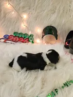 processed/ebf33cc4-de59-4a78-b02f-9f0558962b69/listing/4ab6861d-de00-4950-b35e-224775118843/afb8ac5d-6d16-44ae-9051-748f973fc7fc