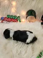 processed/ebf33cc4-de59-4a78-b02f-9f0558962b69/listing/4ab6861d-de00-4950-b35e-224775118843/d46252ef-aa4b-498a-becf-2059f6795d59