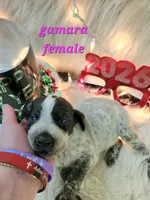 processed/ebf33cc4-de59-4a78-b02f-9f0558962b69/listing/628092ec-bc21-44b2-94c5-541c8c245fb8/6f229b15-d6fa-46ef-8f5f-73566771b0cb