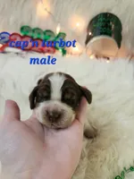 processed/ebf33cc4-de59-4a78-b02f-9f0558962b69/listing/74d759dd-4cf2-496e-81ce-1150102bc827/6051ef47-b683-4c83-9156-e3a600a9f2e0