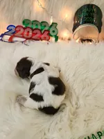 processed/ebf33cc4-de59-4a78-b02f-9f0558962b69/listing/74d759dd-4cf2-496e-81ce-1150102bc827/810ff656-2b68-4dba-88aa-7697dfc7954d