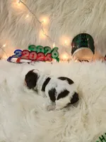 processed/ebf33cc4-de59-4a78-b02f-9f0558962b69/listing/74d759dd-4cf2-496e-81ce-1150102bc827/d0891c41-1212-4f0e-983b-24e6c7ac672a