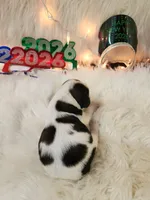 processed/ebf33cc4-de59-4a78-b02f-9f0558962b69/listing/7756b9e0-2c00-4455-a1f5-5b5f78130944/29169464-bda6-44e8-8908-360d1bfeb945