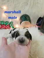 processed/ebf33cc4-de59-4a78-b02f-9f0558962b69/listing/7756b9e0-2c00-4455-a1f5-5b5f78130944/33eae246-1db7-4d2c-8f49-2803265957ff