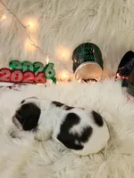 processed/ebf33cc4-de59-4a78-b02f-9f0558962b69/listing/7756b9e0-2c00-4455-a1f5-5b5f78130944/53b4a200-a07e-45a7-8be9-e9805dc7fe12