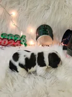 processed/ebf33cc4-de59-4a78-b02f-9f0558962b69/listing/7756b9e0-2c00-4455-a1f5-5b5f78130944/80052bc5-ad5c-4b47-8acf-7c30c87337cc