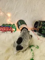 processed/ebf33cc4-de59-4a78-b02f-9f0558962b69/listing/821e33bc-b4b1-4806-a476-3428d52d746b/089fe648-3e1a-4b84-b868-5848c1ab4129