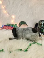 processed/ebf33cc4-de59-4a78-b02f-9f0558962b69/listing/821e33bc-b4b1-4806-a476-3428d52d746b/31c2f9a8-1f42-45c4-b3bc-25fe00a355e8