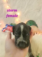 processed/ebf33cc4-de59-4a78-b02f-9f0558962b69/listing/821e33bc-b4b1-4806-a476-3428d52d746b/f02cca34-35f2-442c-bd15-7931f4c4d0b3