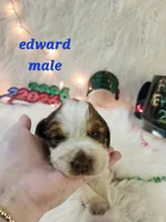 processed/ebf33cc4-de59-4a78-b02f-9f0558962b69/listing/86fbf47f-820c-4eca-8d13-518d137a8e8f/0dd2786e-833a-47e5-8adb-707986cebdc5