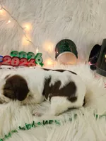 processed/ebf33cc4-de59-4a78-b02f-9f0558962b69/listing/86fbf47f-820c-4eca-8d13-518d137a8e8f/3468a9f9-154f-4d7a-8f60-772238e586f9