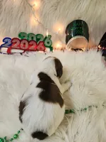 processed/ebf33cc4-de59-4a78-b02f-9f0558962b69/listing/86fbf47f-820c-4eca-8d13-518d137a8e8f/b3a0e3ab-12a7-4358-a93e-9109c21478cb