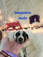 processed/ebf33cc4-de59-4a78-b02f-9f0558962b69/listing/9eaa3547-2ff5-451a-8eb4-64c88373dad5/00711743-f718-434b-9829-2598bfc3947c