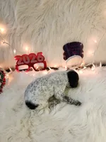 processed/ebf33cc4-de59-4a78-b02f-9f0558962b69/listing/9eaa3547-2ff5-451a-8eb4-64c88373dad5/7be5810f-5e37-4ea3-9518-f4558527ae03