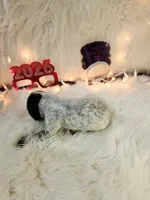 processed/ebf33cc4-de59-4a78-b02f-9f0558962b69/listing/9eaa3547-2ff5-451a-8eb4-64c88373dad5/acd7b64e-3a8c-4728-8525-fb964abaeea7