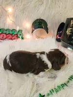 processed/ebf33cc4-de59-4a78-b02f-9f0558962b69/listing/bc49d2c5-7966-488a-a73b-ff2041b89b10/15ede357-108a-41df-b30e-3bf7a9226d27