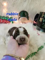 processed/ebf33cc4-de59-4a78-b02f-9f0558962b69/listing/bc49d2c5-7966-488a-a73b-ff2041b89b10/acfaa05a-39a4-46b7-9e7a-a4a0652f49d7