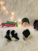 processed/ebf33cc4-de59-4a78-b02f-9f0558962b69/listing/e0c577d9-9410-4859-9f01-5681a14b8f80/2d5a21a1-8775-4057-ab68-2a61c10da0a5