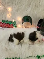 processed/ebf33cc4-de59-4a78-b02f-9f0558962b69/listing/e8217b62-dd1e-476e-8ddd-db8ad056759b/0264bb3c-88d0-4344-8440-045052669c35