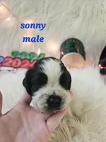 processed/ebf33cc4-de59-4a78-b02f-9f0558962b69/listing/eae9e56d-f774-4dd2-b604-3941bf2ca623/54f0a14d-7cc9-437f-af61-1a6951751036