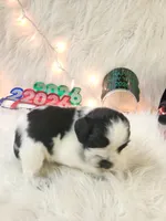 processed/ebf33cc4-de59-4a78-b02f-9f0558962b69/listing/eae9e56d-f774-4dd2-b604-3941bf2ca623/914f3643-c008-44eb-a101-063f32557b08