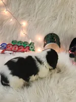 processed/ebf33cc4-de59-4a78-b02f-9f0558962b69/listing/eae9e56d-f774-4dd2-b604-3941bf2ca623/b70a7a53-4d6a-4e8d-a48f-8627e00e20e0