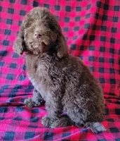 processed/ebf36cdb-8d05-4bed-a25e-73539856dca7/listing/1760147b-be10-48fa-8237-ebf651c07bc5/2cca441d-9e78-4f4a-8a16-24d2320a1222