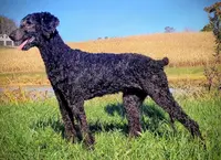 processed/ebf36cdb-8d05-4bed-a25e-73539856dca7/listing/a55ea451-ccd3-47a1-8831-58f5785bb2b1/2f41289e-ae62-4ff5-8d75-428eb754fb44