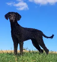 processed/ebf36cdb-8d05-4bed-a25e-73539856dca7/listing/a55ea451-ccd3-47a1-8831-58f5785bb2b1/31b1a0e5-efcc-4448-9699-7998ec9fd409