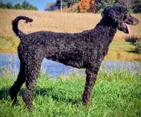 processed/ebf36cdb-8d05-4bed-a25e-73539856dca7/listing/a55ea451-ccd3-47a1-8831-58f5785bb2b1/9122ba53-fcd2-48e8-a7c5-e3c3280a5087