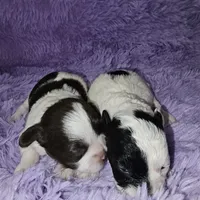 processed/ebf5442d-1d51-47d6-b3b5-c3fc4f453a58/facility/1cab2cd6-b1d3-4f79-887b-0a48cd994772