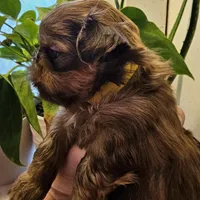 processed/ebf5442d-1d51-47d6-b3b5-c3fc4f453a58/facility/bd1c7dd6-cf16-4002-86ee-b7b9a7f60d98