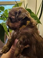 processed/ebf5442d-1d51-47d6-b3b5-c3fc4f453a58/facility/bd1c7dd6-cf16-4002-86ee-b7b9a7f60d98