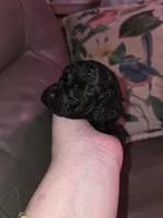 processed/ebf5442d-1d51-47d6-b3b5-c3fc4f453a58/listing/45f9d7f0-9586-4c6f-a3ed-86e58026e63b/187d5a16-a62e-4fdf-b4b1-a988d5ce97dc