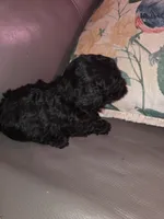 processed/ebf5442d-1d51-47d6-b3b5-c3fc4f453a58/listing/45f9d7f0-9586-4c6f-a3ed-86e58026e63b/3e663a0c-3687-4117-99a0-f55557106f66