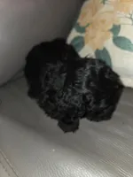 processed/ebf5442d-1d51-47d6-b3b5-c3fc4f453a58/listing/45f9d7f0-9586-4c6f-a3ed-86e58026e63b/b61e66dc-6986-44f6-82a9-0fcc400dec06